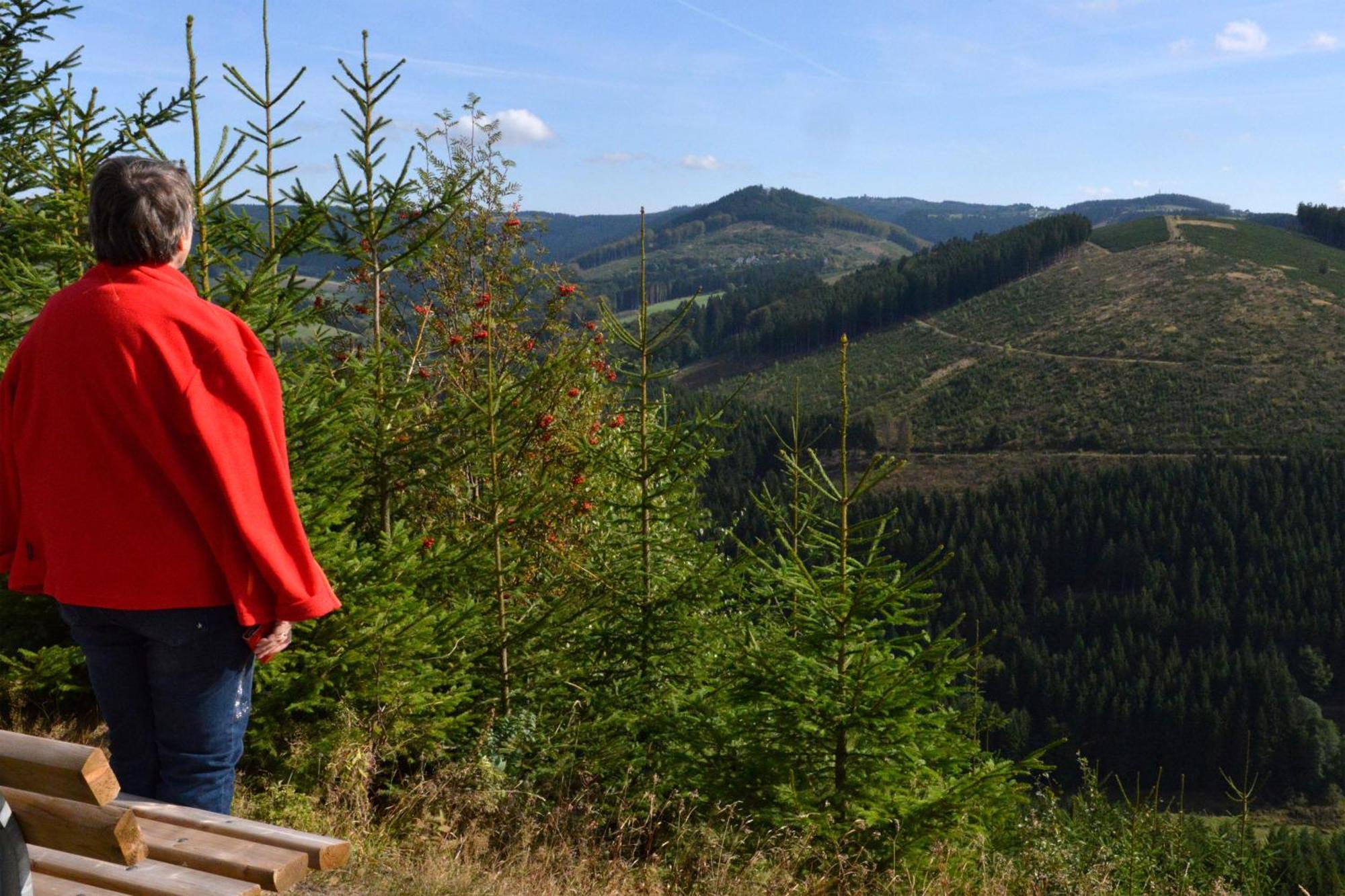 Berghotel Hoher Knochen Winterberg Luaran gambar